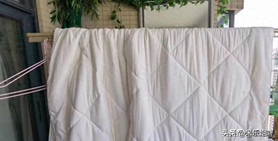 羽绒被暴晒会长虫子吗,羽绒被暴晒还有味道吗