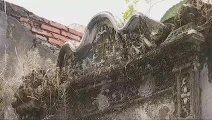 梦到底是什么最合理的解释,梦到底是什么图片