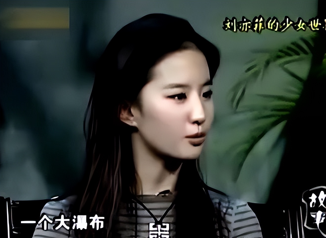 刘亦菲被欺凌,刘亦菲曾遭韩国人霸凌