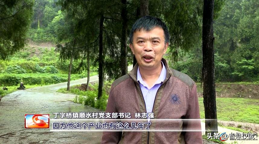 创业路上的奋斗者,返乡创业青年创业事迹