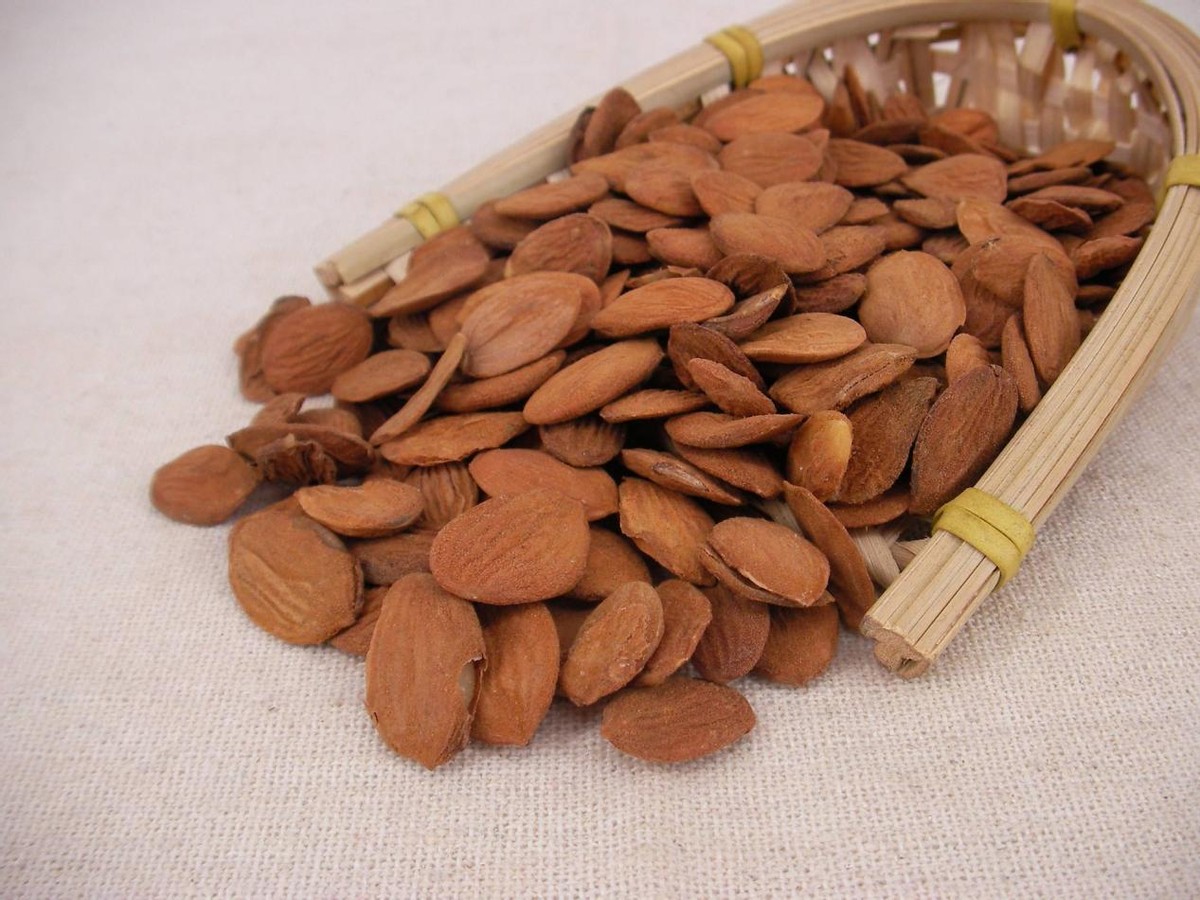 养血柔肝软坚散结,中医治疗肝硬化腹水