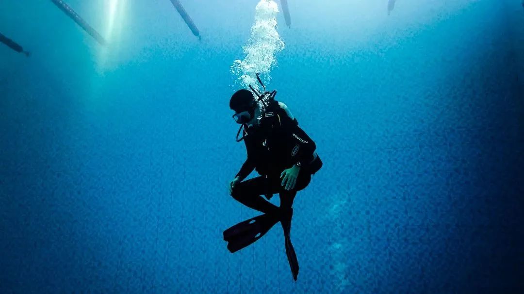 向日夜坚守边关的人民子弟兵致敬,春节向坚守岗位的人民子弟兵致敬
