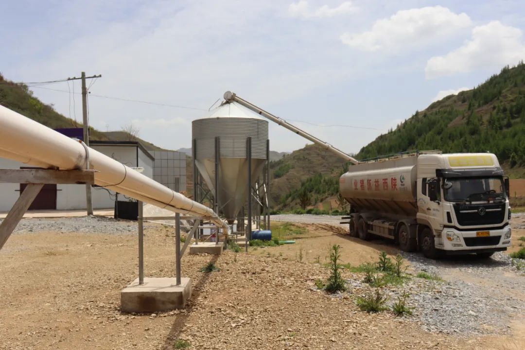 90后农村创业养殖猪,90后养猪致富项目