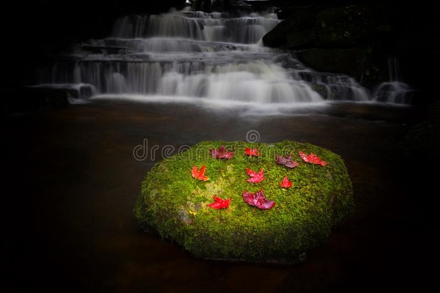 赚钱的所有路子都在这里,赚钱的位置咋找不到了