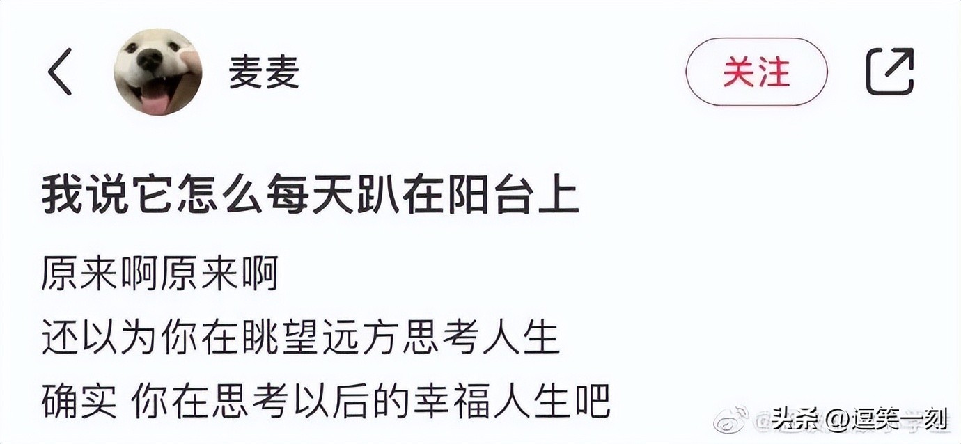 神仙男友的奇葩操作,男友的奇葩脑回路评论区笑不活了