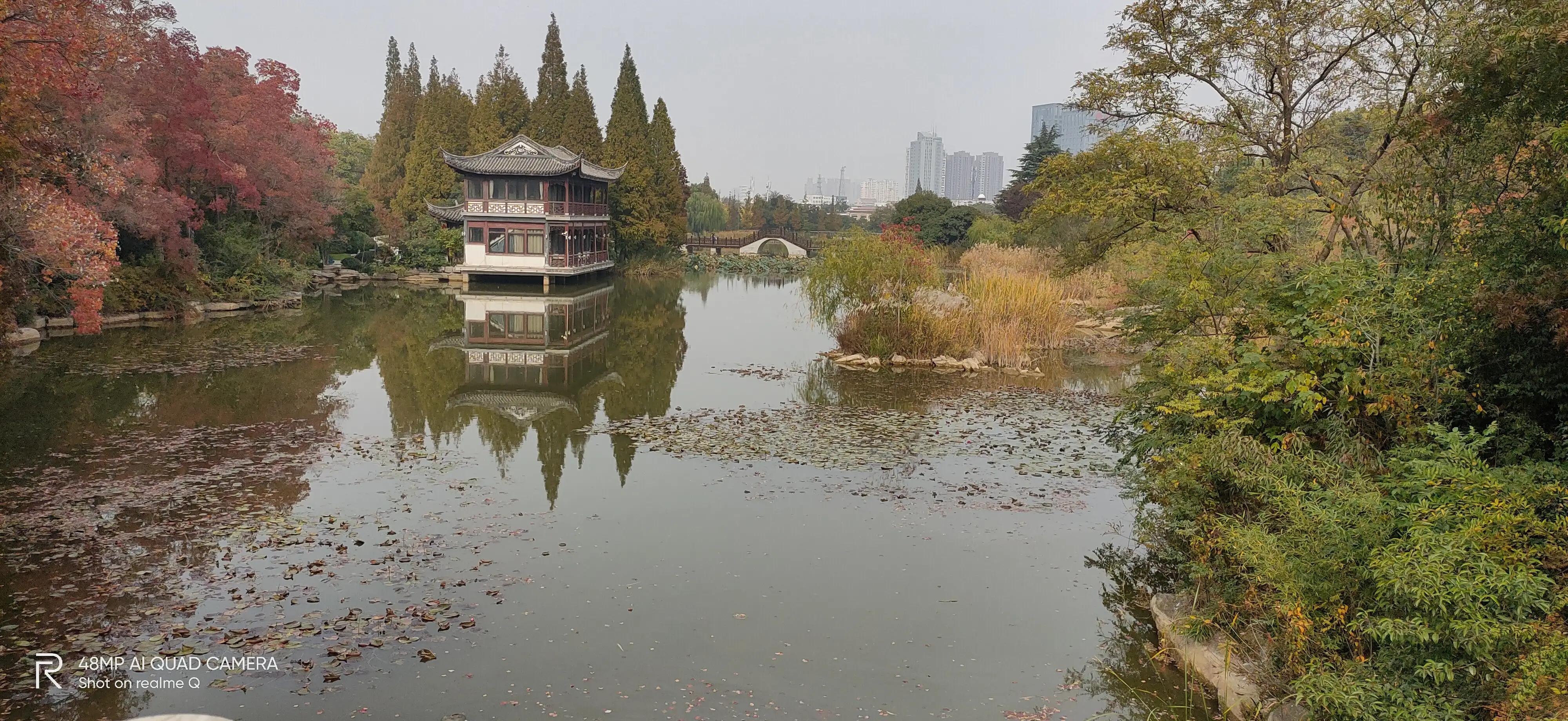 徐州彭祖园森林探险,徐州彭祖园名人石像