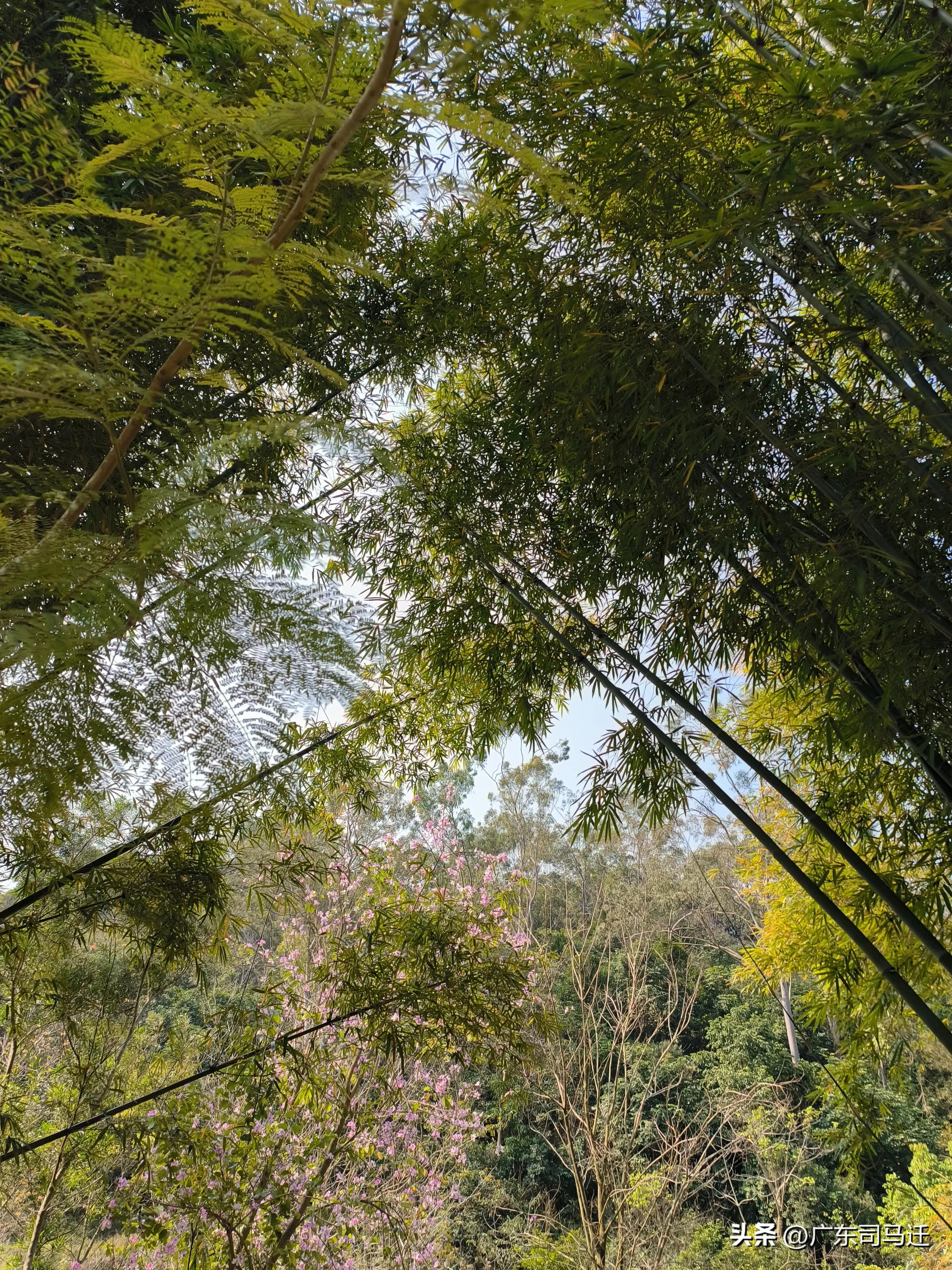 好玩的中山公园,中山公园这儿真美