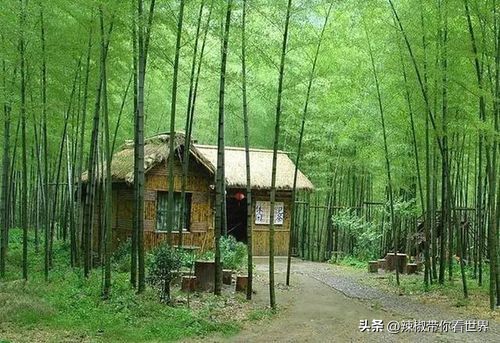 焦作大自然风景,焦作市文化圣地有哪些