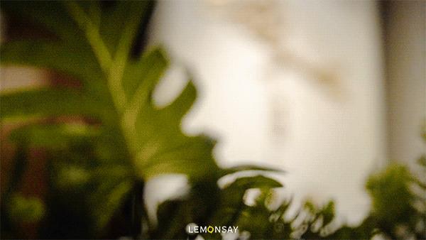 来海南一定要吃糟粕醋,外地人吃得惯糟粕醋吗