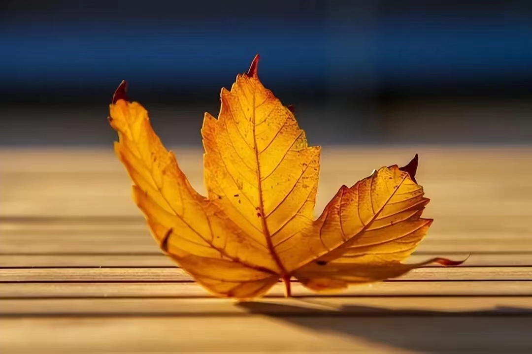 男人生气不理你你怎么给他发信息,当男人不理你怎么做才是最正确的