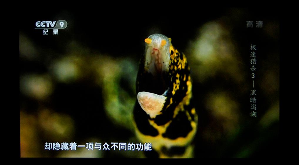 目前最值得入手的投影,知麻投影仪推荐哪一款