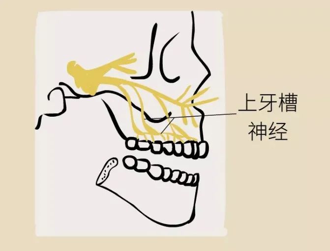 鼻窦发炎眼睛会持续疼还是偶尔疼,为什么得了鼻窦炎头很疼