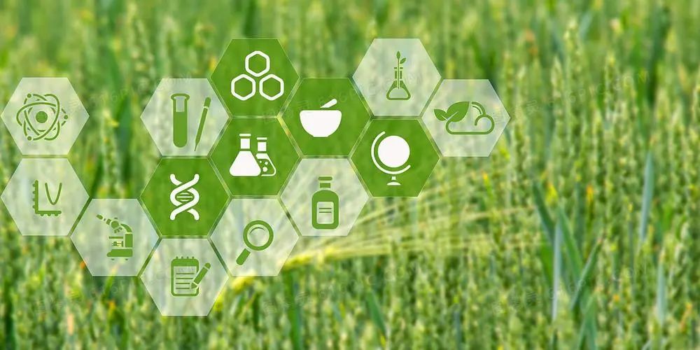 农业产业周报|老乡鸡、洪九果品、双汇发展、荃银高科最新动态