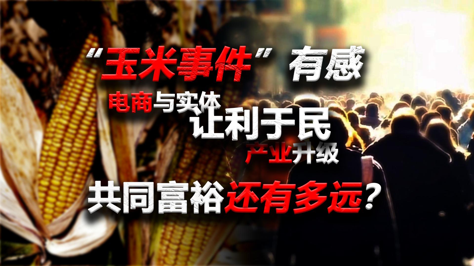 以共同富裕为目标文案,未来共同富裕文案