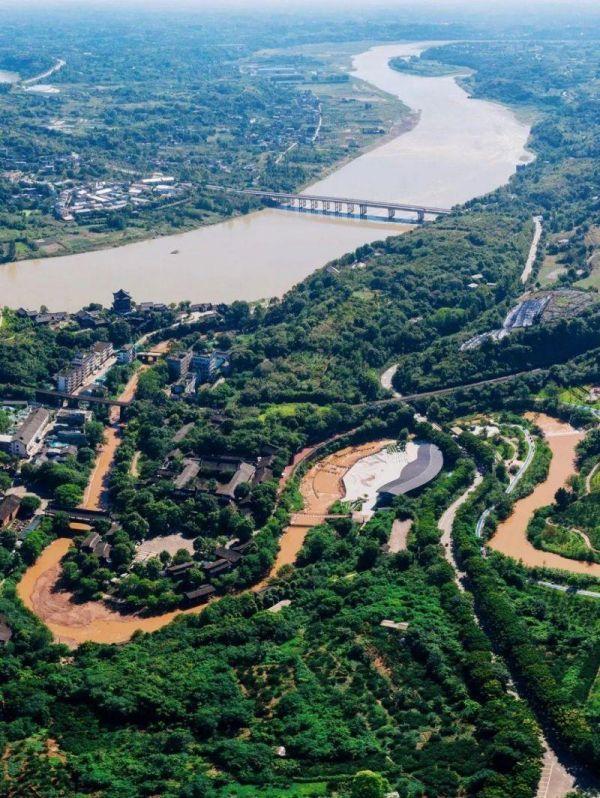 水井坊1号菌群,水井坊一号