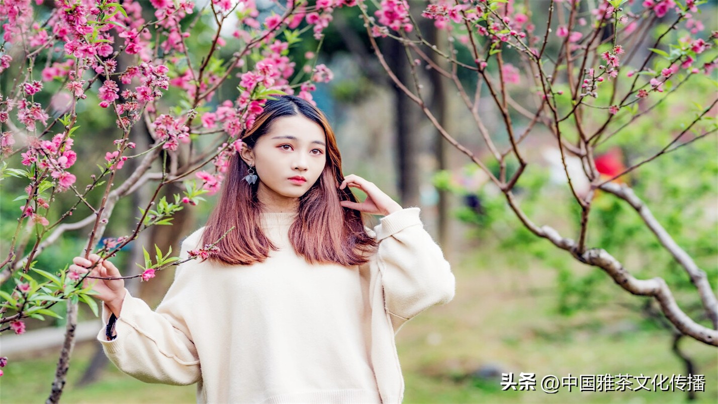 世事浮华岁月喧嚣,岁月如歌谁与共浮华若梦