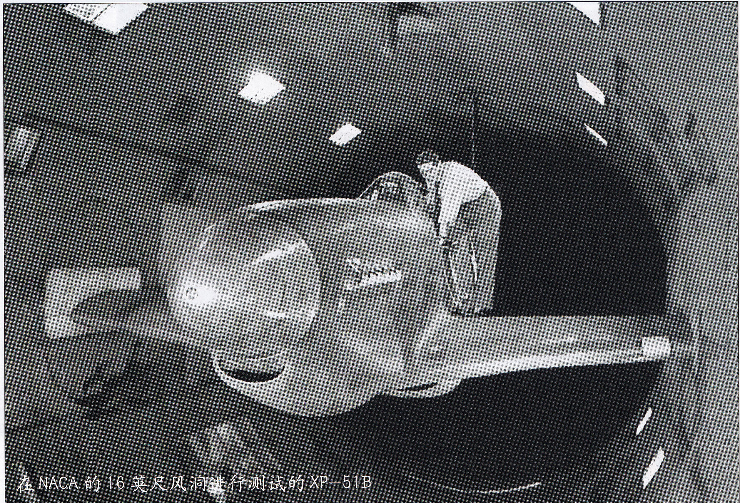 野马p26战斗机,野马家庭版