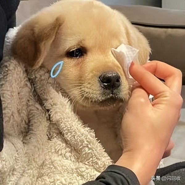 手机电池老化严重就没快充了,快充真的会加快电池老化吗