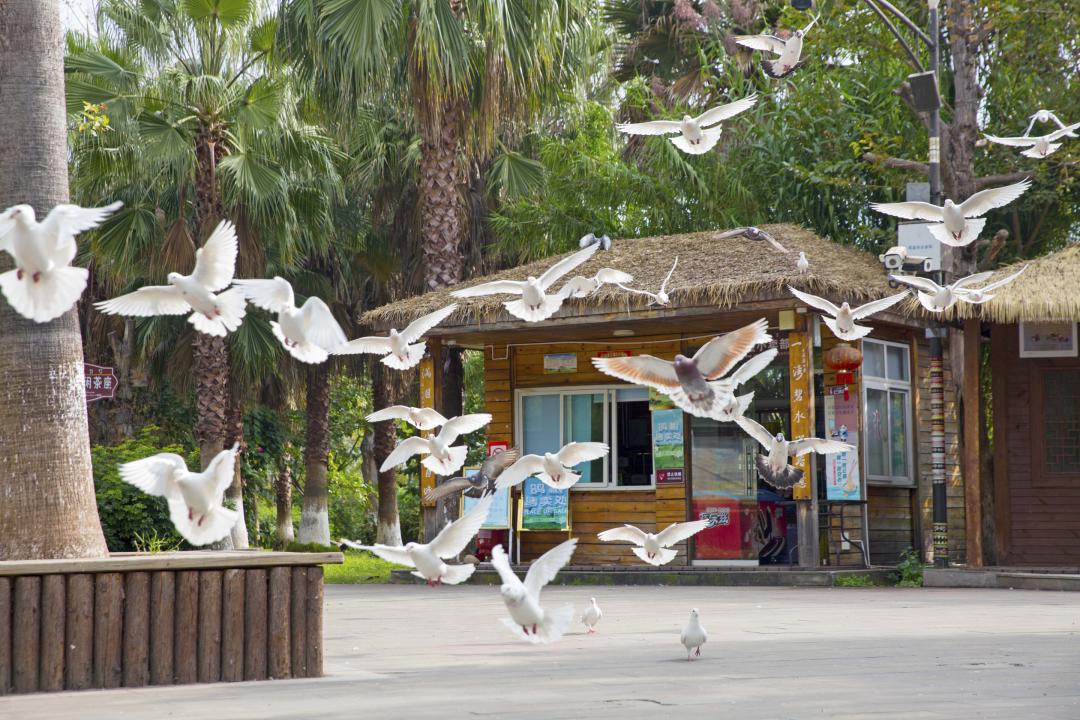 四川旅游攻略56人团,四川旅游4天3晚旅游攻略请收藏