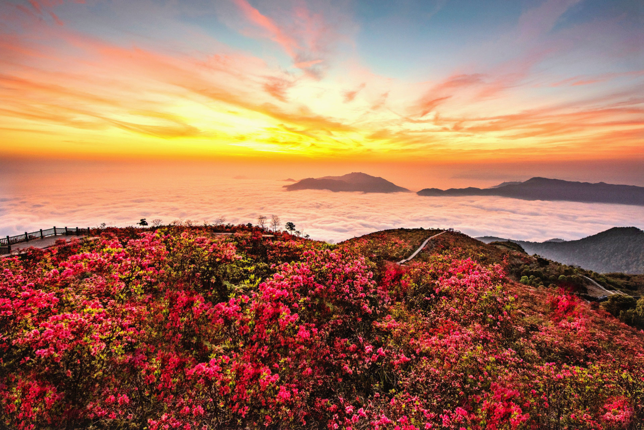 温州瑞安旅游区,温州瑞安旅游小镇