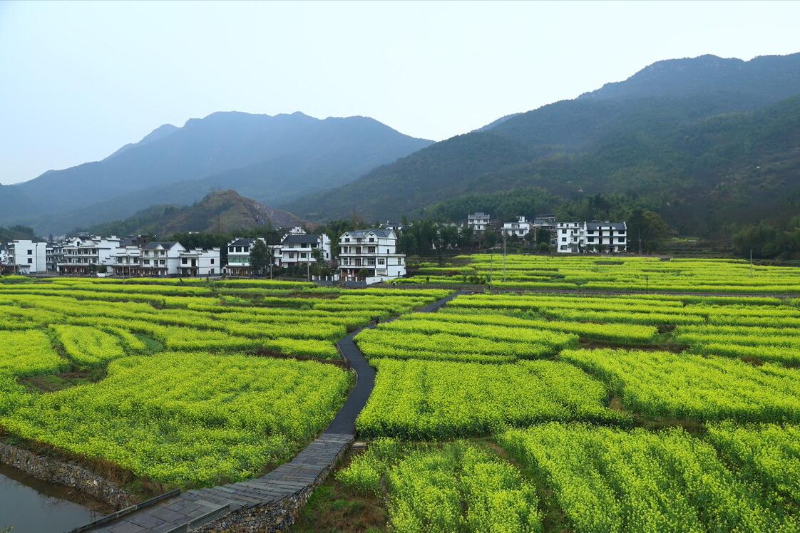 宅基地申请村里没地能行政诉讼吗,宅基地申请村委不接收申请表