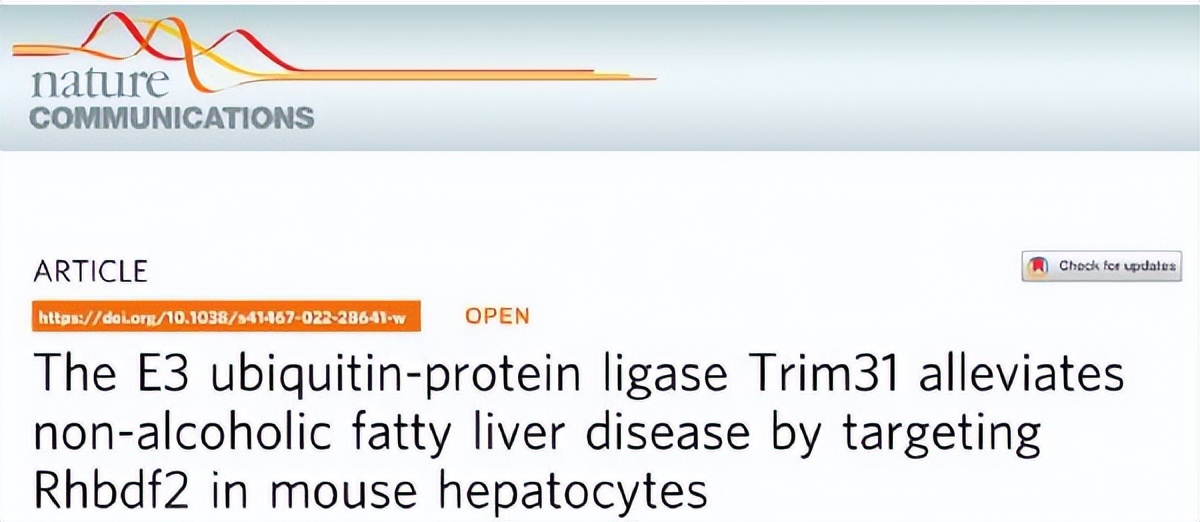 肝炎到肝癌的发展过程,肝癌早期最新研究报告
