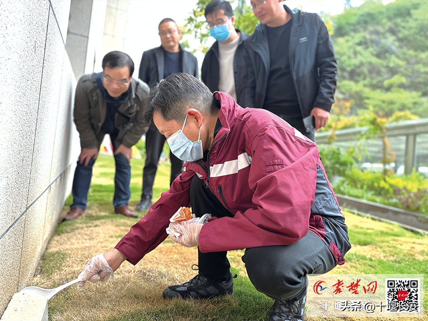 灭四害最快的方法,灭四害的实用方法