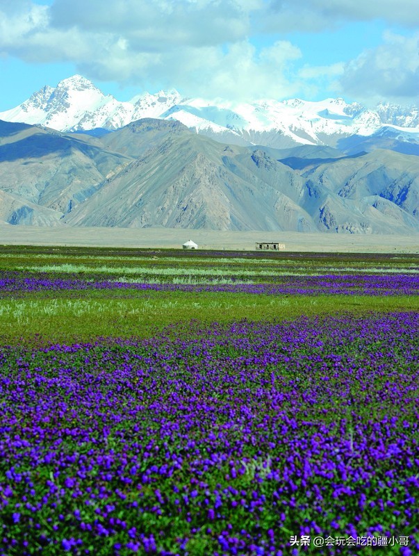 从新疆旅游回来都需要做什么,从新疆去内地旅游怎么划算