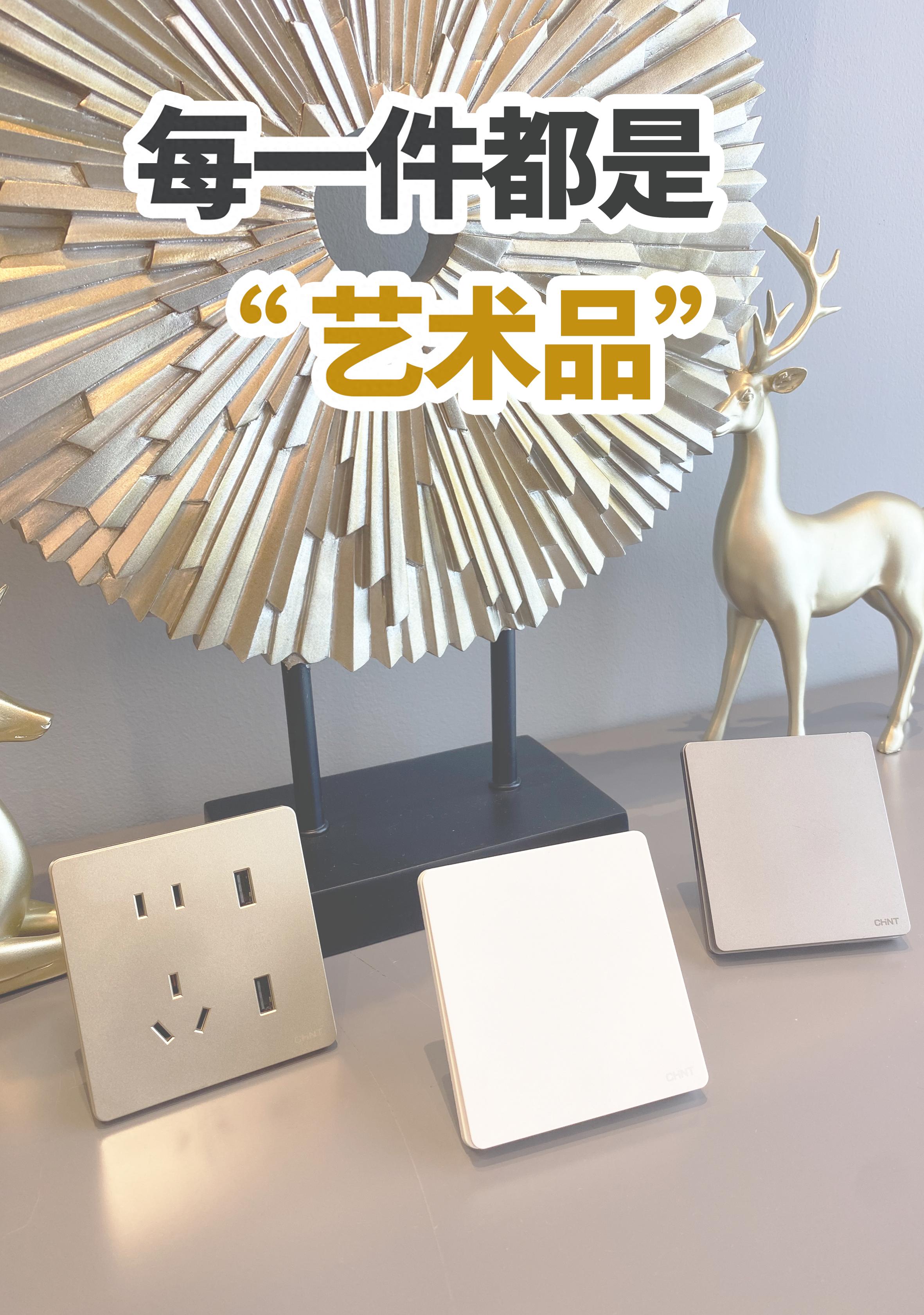 正泰np3按钮开关,正泰开关3l和6c哪个系列好