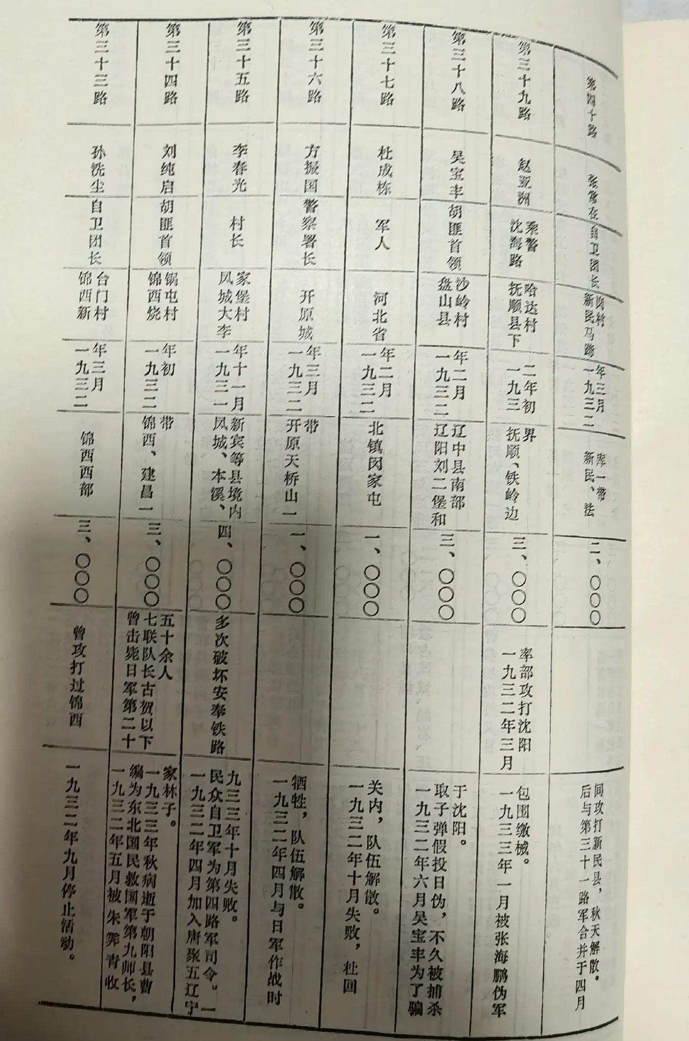 东北抗日义勇军史-东北民众抗日武装