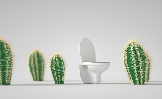 痔疮是咋形成的,痔疮是怎样形成