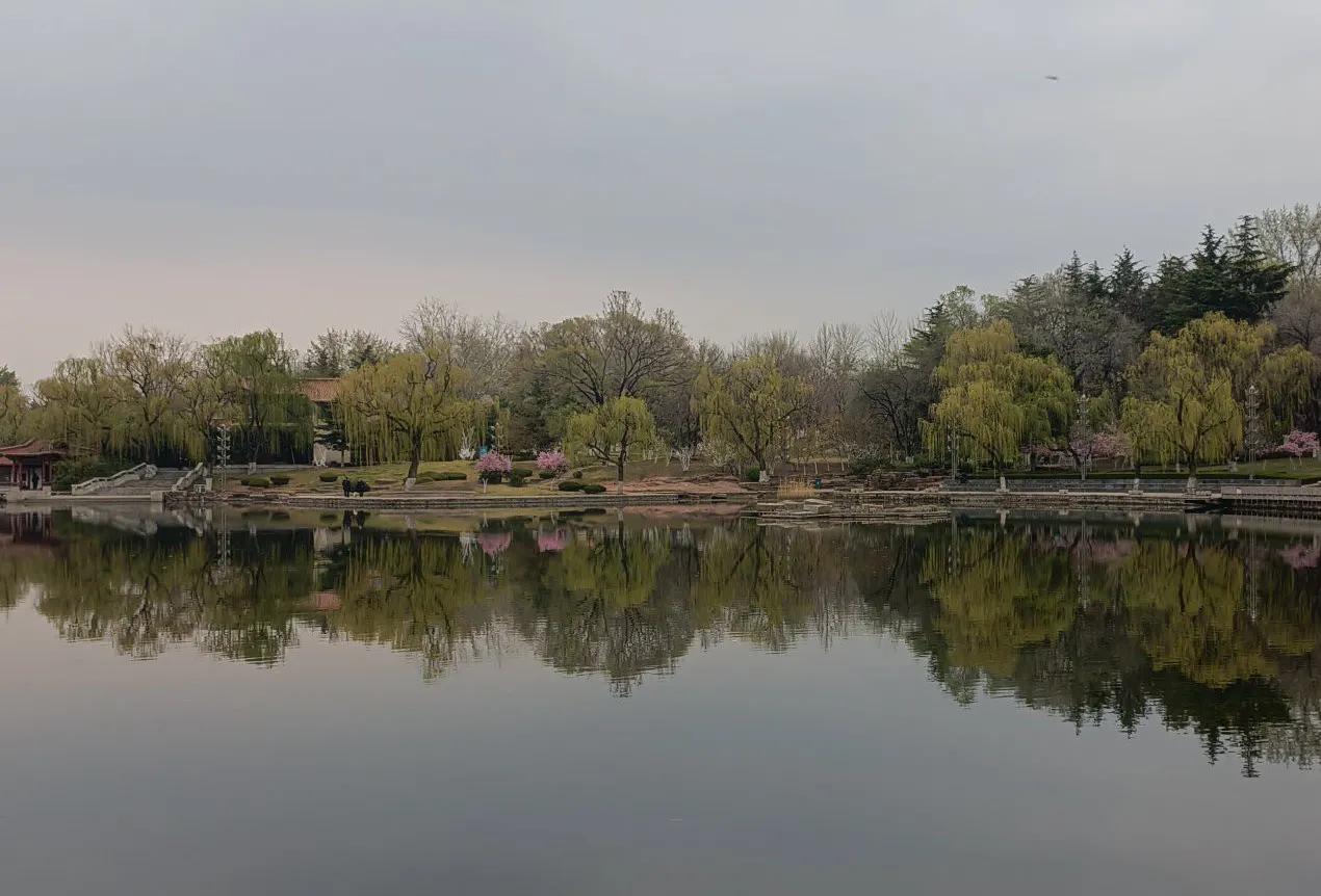 杨柳依依七律诗词,杨柳依依的七律诗