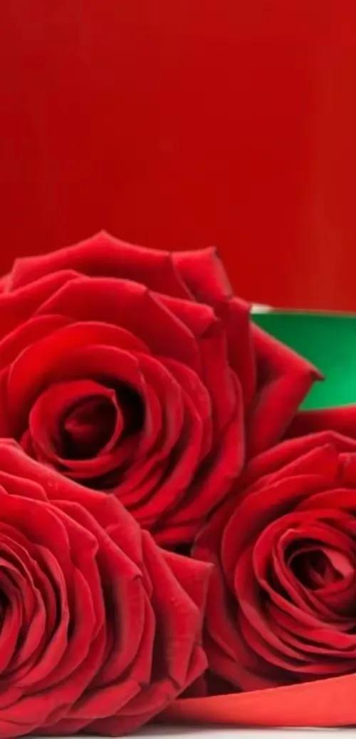 绝美竖屏高清红色喜庆的壁纸,蓝色流光溢彩壁纸高清全屏