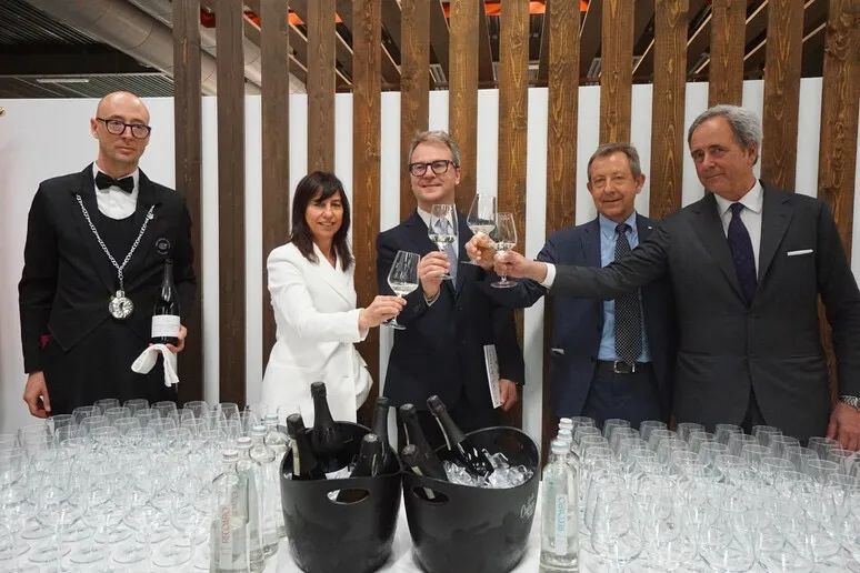 prosecco起泡酒普罗塞克,prosecco葡萄酒多少钱一瓶