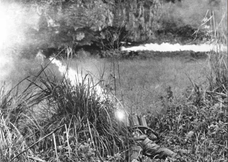 中越战争越军有喷火兵吗,对越自卫反击战喷火兵视频