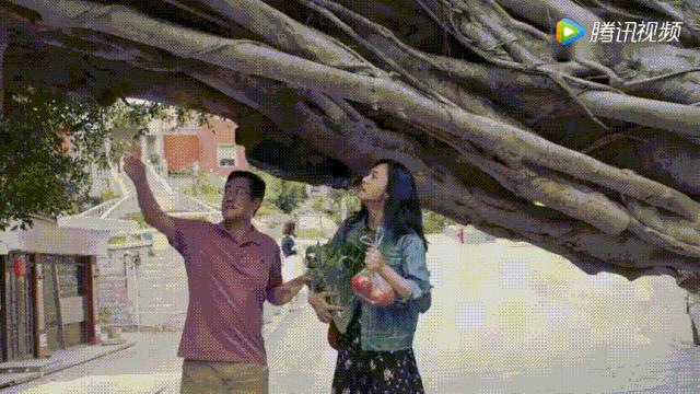 鼓浪屿最值得看的景点,鼓浪屿值得一去的景点