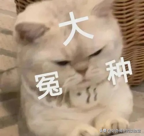 被央视曝光的致癌衣服,央视曝光致癌衣服视频