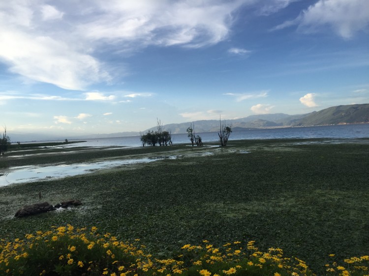 云南最值得去的旅游景点排名前十,云南旅游景点排名前十名旅游攻略