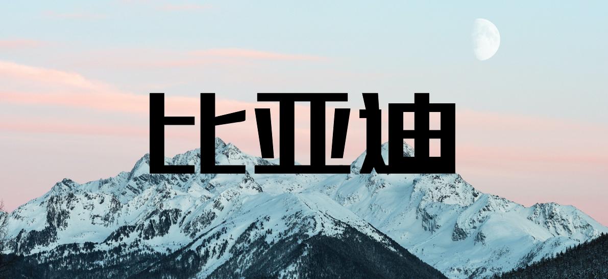 比亚迪logo改迈巴赫,比亚迪改logo了吗