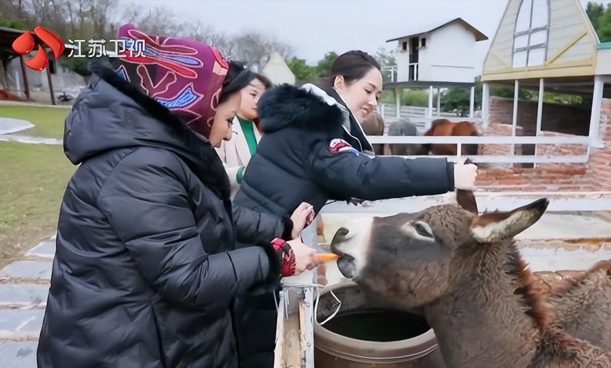 向太陈岚钻戒多少钱,向太陈岚曝婚姻真实情况