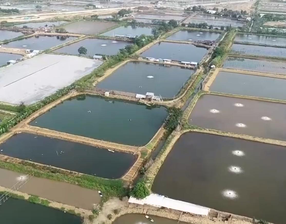 年轻小伙放弃年薪10万养殖,小伙放弃银行高薪养殖龙虾