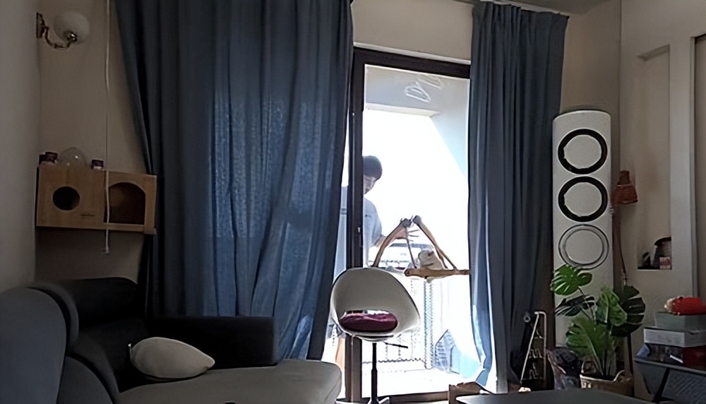 男子去阳台透气被猫反锁,被猫咪反锁在阳台