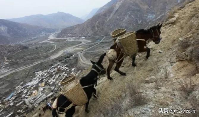 攀登武当山的马邦