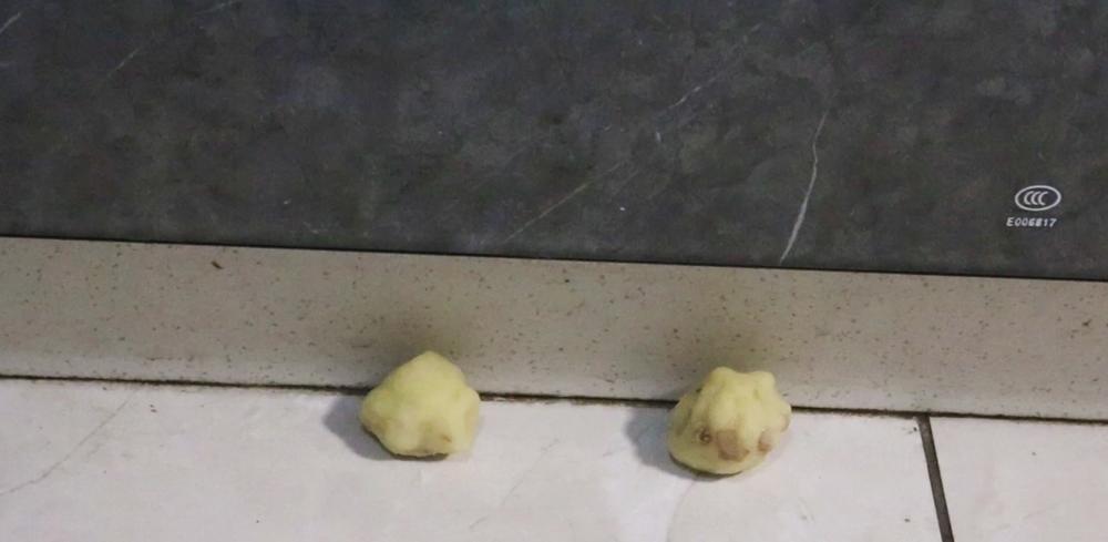 家里有蟑螂和虫子怎样能彻底消灭,家里有蟑螂教你一招全部消灭