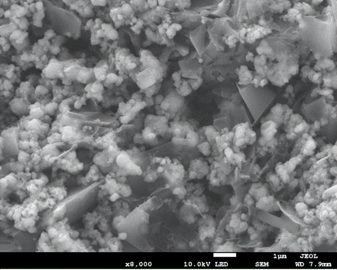 石墨烯导电剂,石墨烯导电剂开始量产