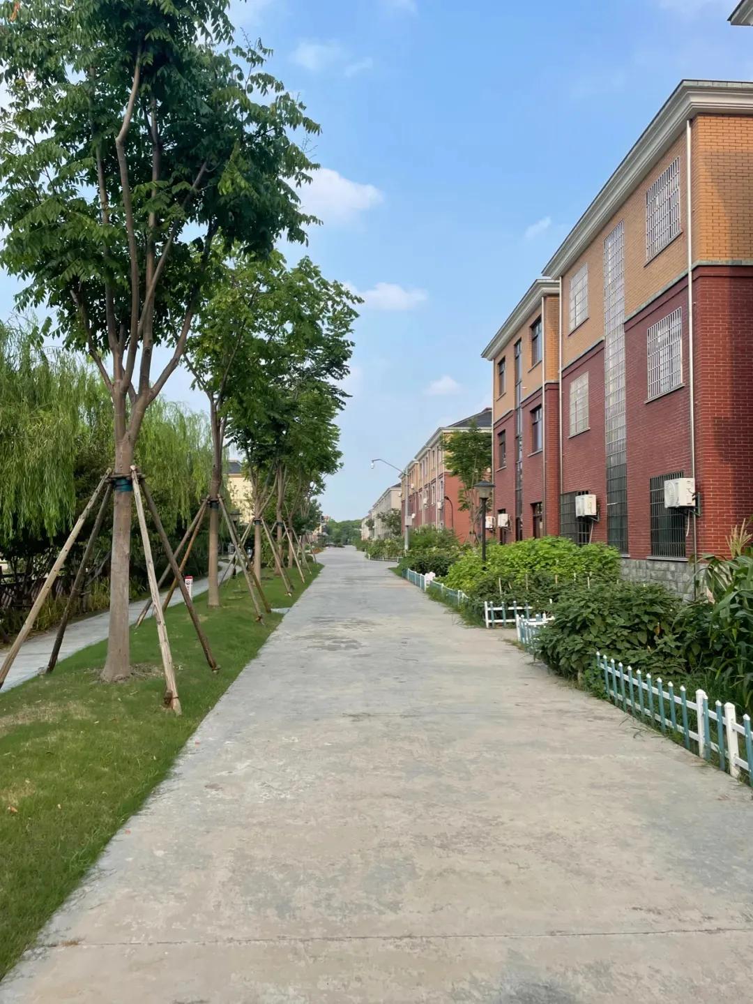 痛心的购房经历,嘉兴买房后悔的真实感受