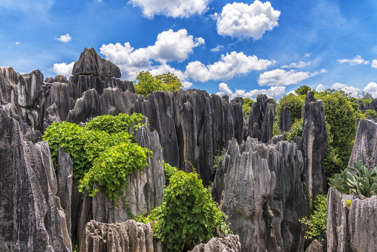 昆明及昆明周边景点,去昆明旅游攻略必去景点最新