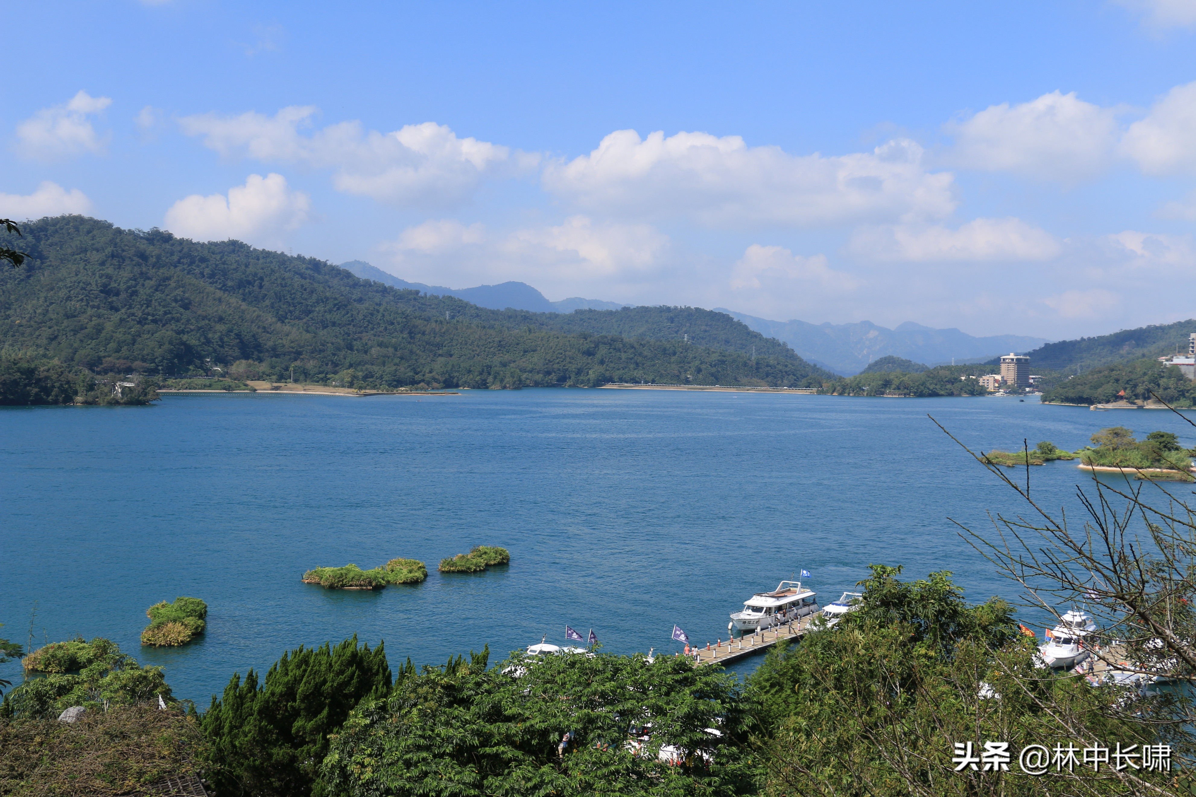 正宗日月潭香菇茶叶蛋,日月潭的茶叶蛋