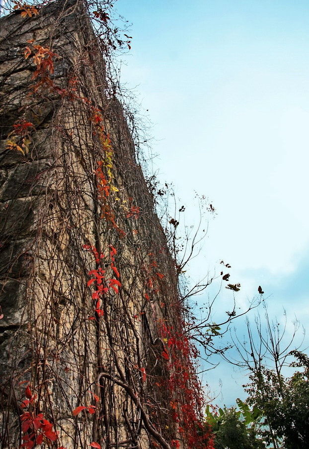 廿万公里六章，要看两岸猿声啼不住，只需要在大昌古镇150元租船