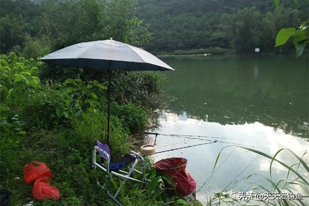 天热钓不到大板鲫视频,阴雨天钓白条技巧和方法